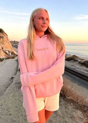 dandy let's watch the sunset oversized lux hoodie